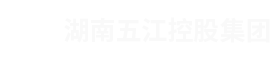 湖南PG电子控股集团有限公司